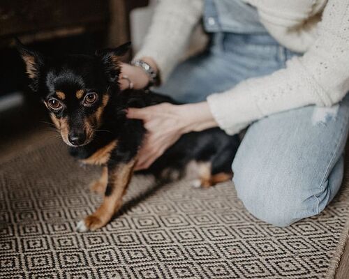 girl-woman-dog-pet